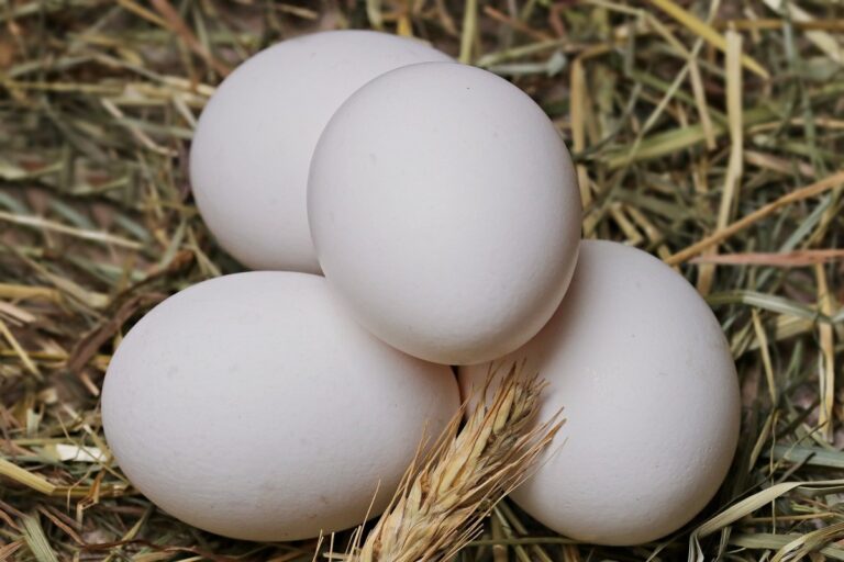 ▲一般人挑雞蛋都只會看氣孔，內行曝1招保證新鮮：「連雞的老少都能知」。（示意圖／pixabay）