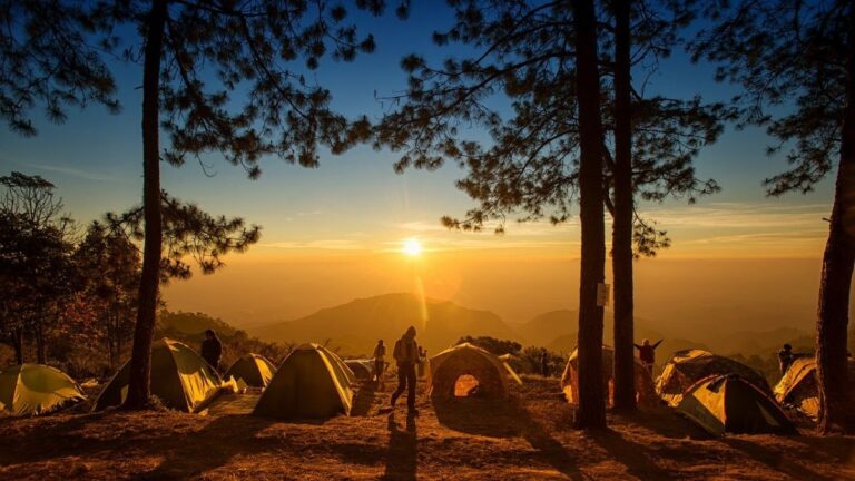 ▲有網友好奇問「露營到底有什麼好玩的？」貼文曝光立即引起熱議。（示意圖／翻攝pixabay）