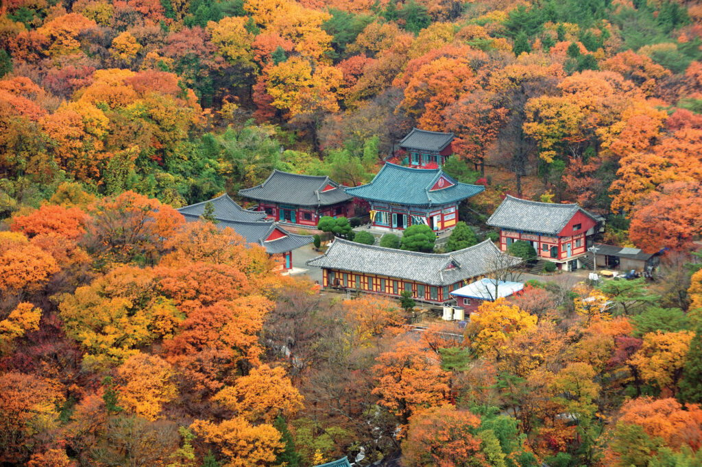 韓國釜山梵魚寺秋景。（圖／韓國觀光公社）