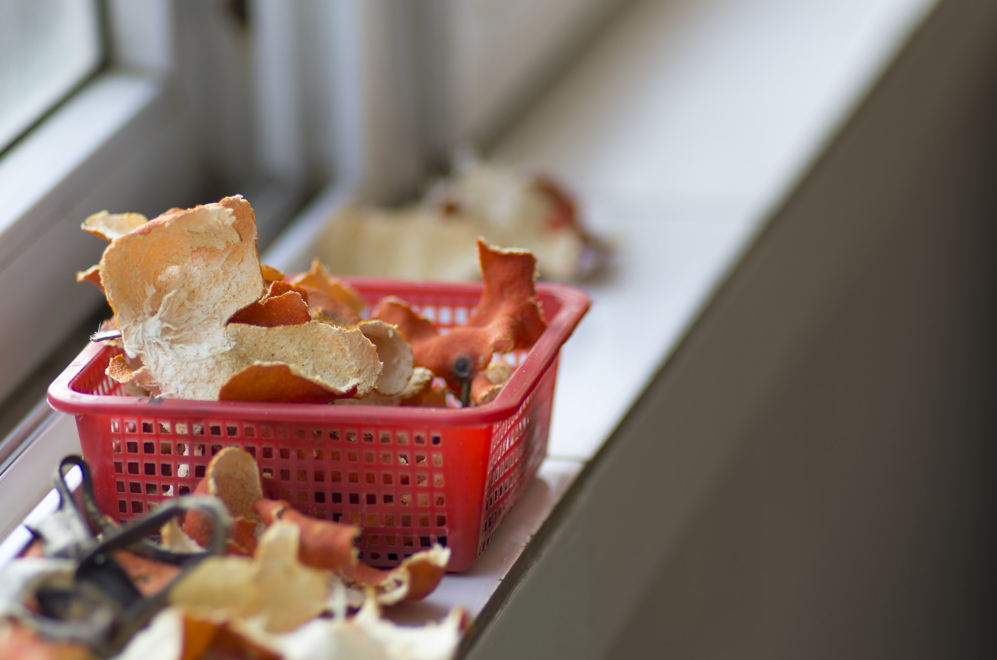 冬至淨化法門！燃燒橘子皮，迎接順利人生！