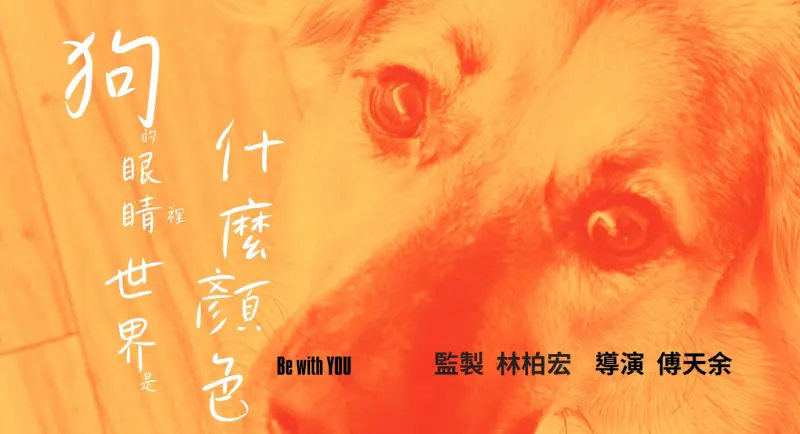 林柏宏籌備中的新作品《狗的眼睛裡世界是什麼顏色》。（圖／金馬執委會）