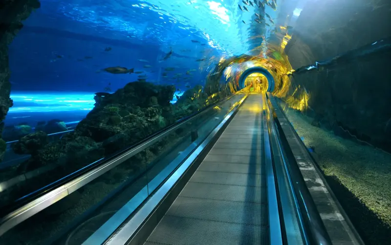 ▲國立海洋生物博物館有名的「珊瑚海底隧道」，全長84公尺，民眾不需要潛入海底就能看到絢麗的珊瑚生態。（圖/海生館官網）