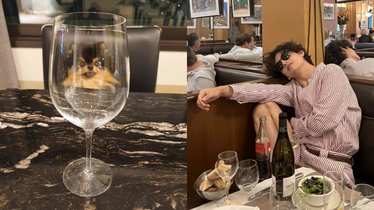 V 視角中的煤炭實在幽默又可愛呀(圖片來源:金泰亨 IG)