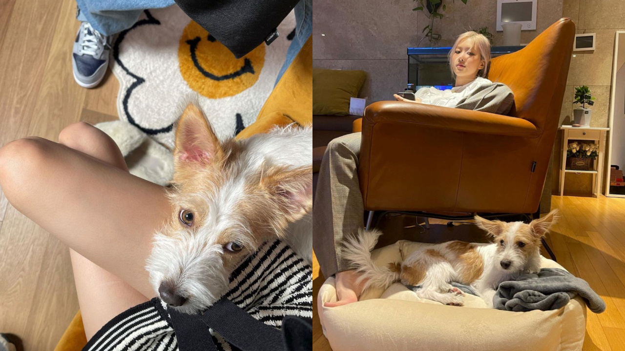 好感情不言而喻（圖片來源：Ros&eacute; IG、Hank IG）