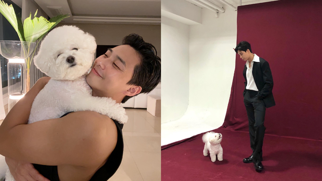 朴敘俊和辛巴貼臉，完全心臟爆擊，頓時不知道該看精壯手臂還是狗狗萌臉（圖片來源：朴敘俊 IG）