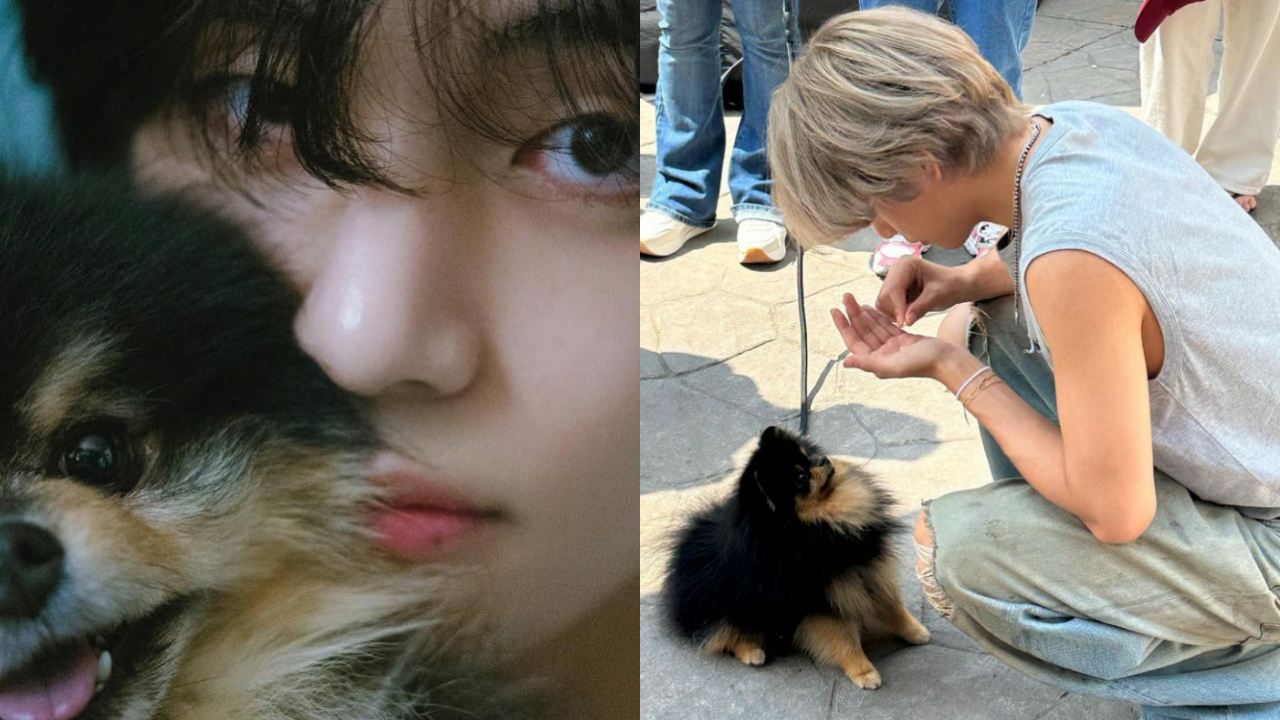 一人一狗的甜蜜互動太圈粉了吧(圖片來源:金泰亨 IG)