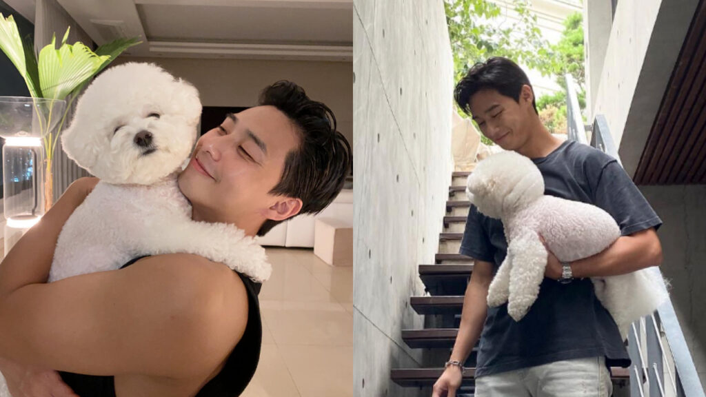 朴敘俊是韓圈知名犬派，愛犬辛巴常常在社群中現身（圖片來源：朴敘俊 IG）