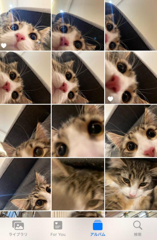 ▲貓咪用飼主的手機拍下好多大頭照。（圖／Twitter：shiroan_chan）