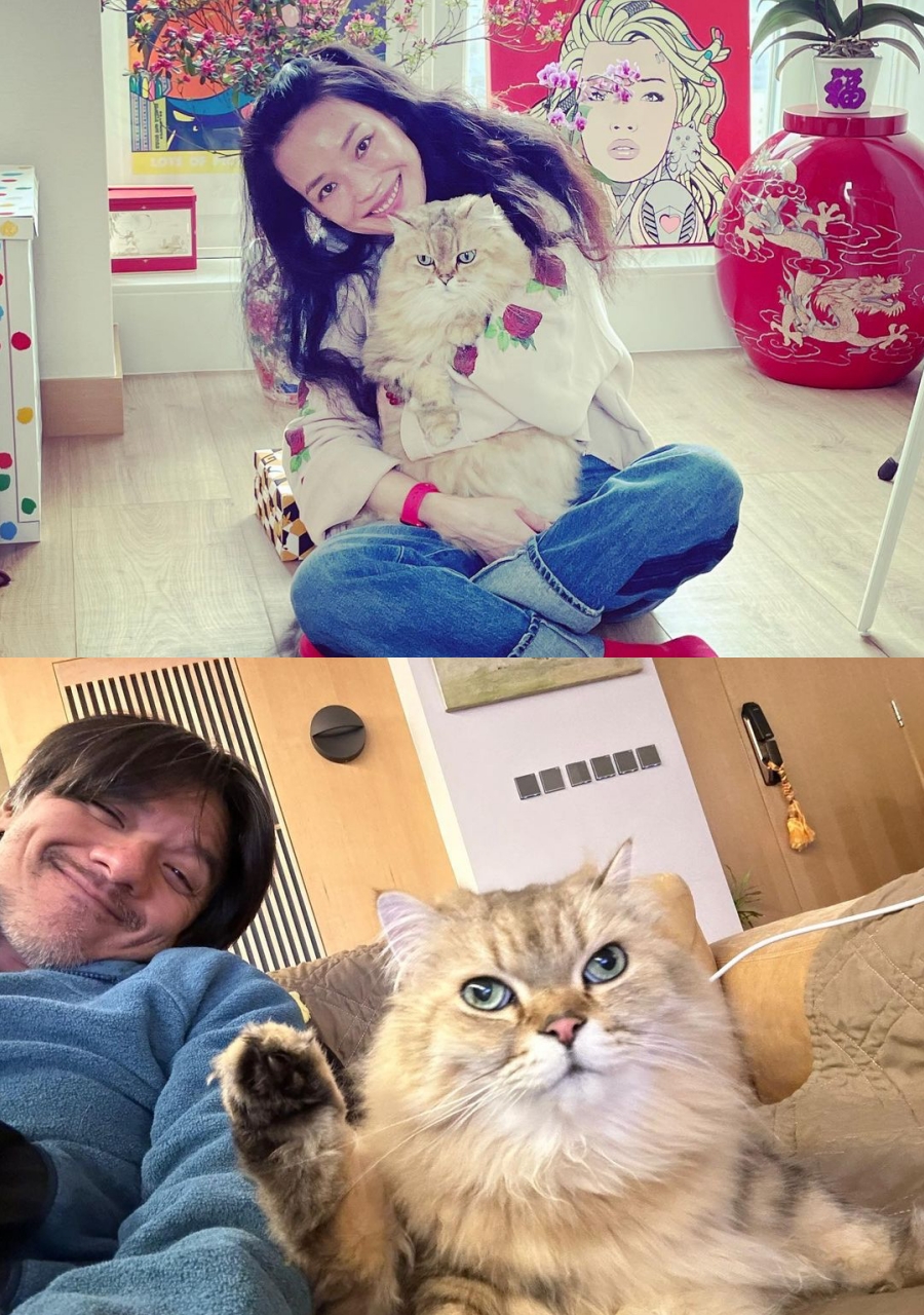 舒淇和老公馮德倫是演藝圈寵貓出名的夫妻。（圖片來源：舒淇 IG）