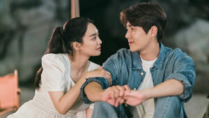 伴侶（圖片來源：tvN）