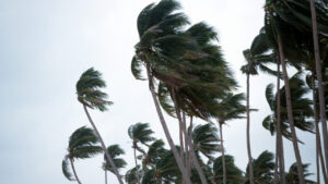 颱風「艾維尼」將襲台？西半部恐有大雨、離島能見度低（圖：Canva）