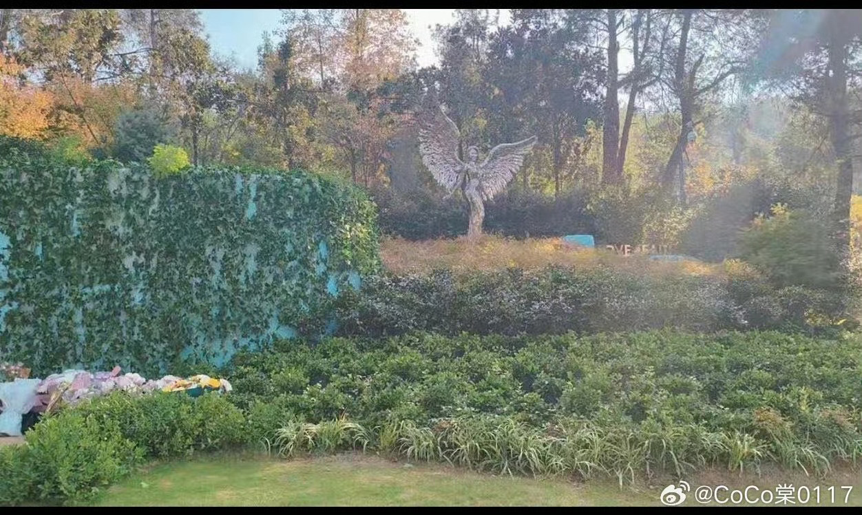 李玟墓園驚傳雜草叢生。（圖／微博）