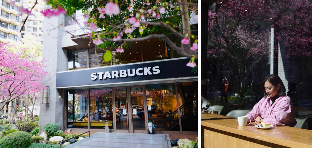 憑著三色櫻街景家喻戶曉的星巴克林口文化三門市,目前櫻花正盛開,繽紛的美景吸引許多顧客拍照留念。(圖:星巴克)