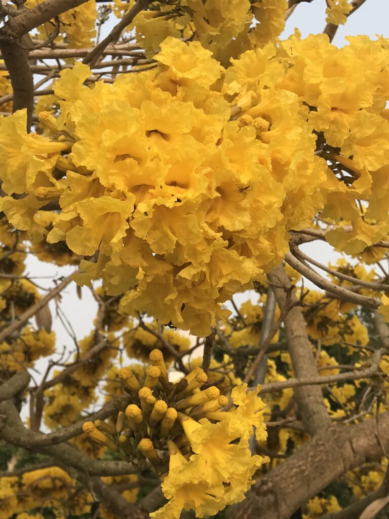 (圖/姊妹淘)