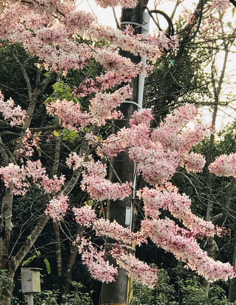 (圖/姊妹淘)