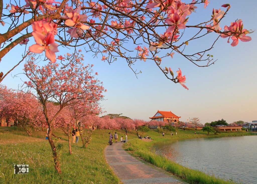 (圖/洪錫明攝影)