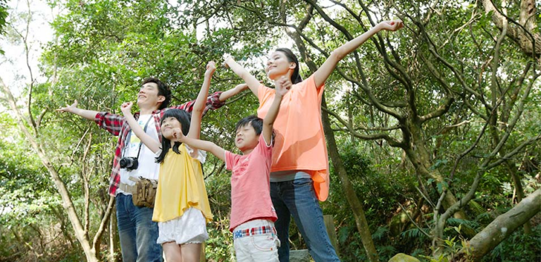 擁抱森林芬多精 (圖/麗多森林溫泉酒店)