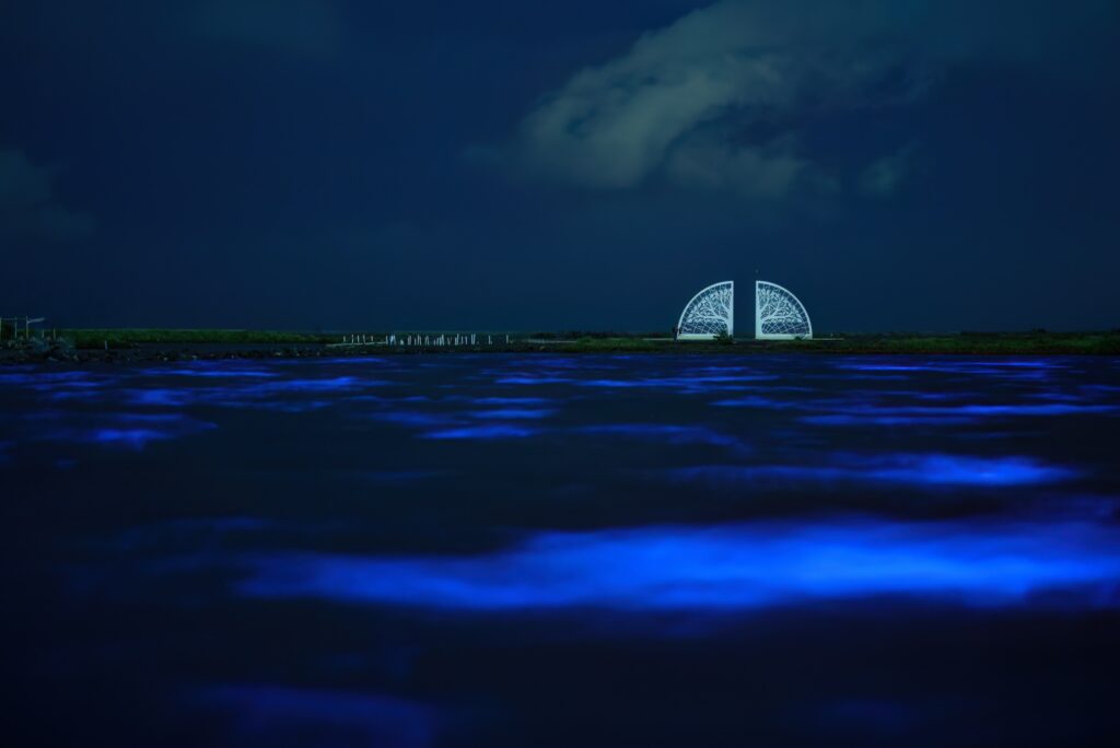 （圖／吳祥瑞攝）