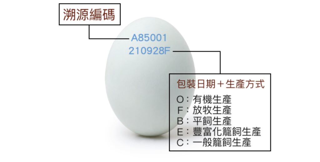 雞蛋上印的編碼其實有所含義。（圖片來源：農業部）