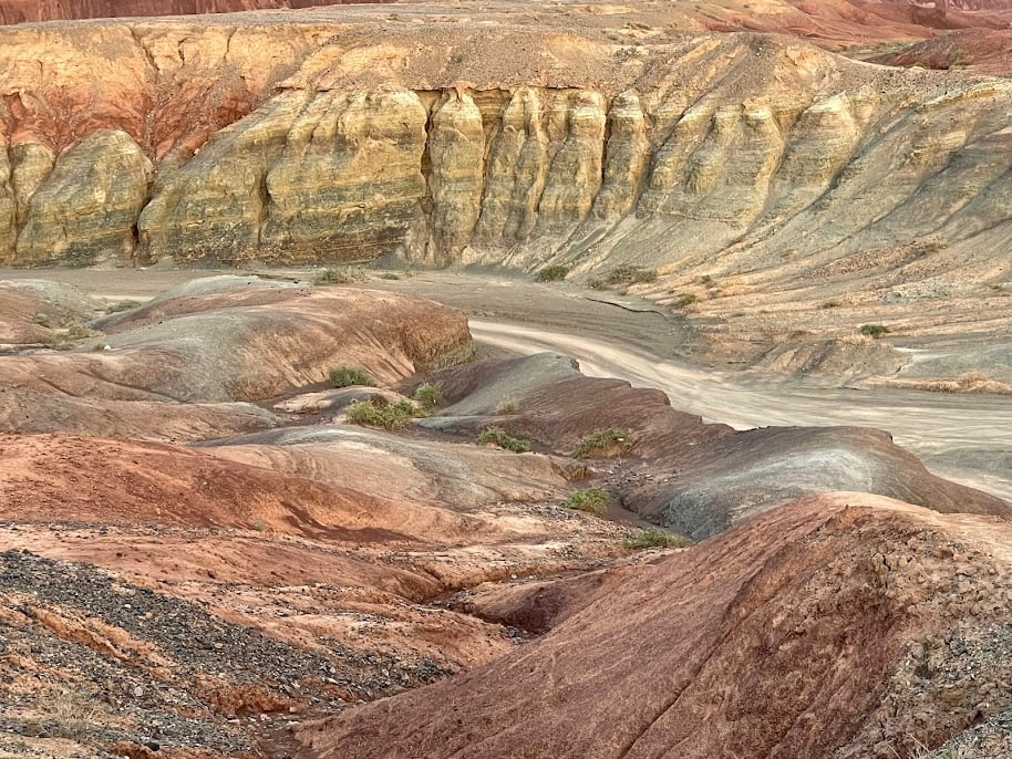 戈壁土地紋路的美,在大地之樹一覽無遺。