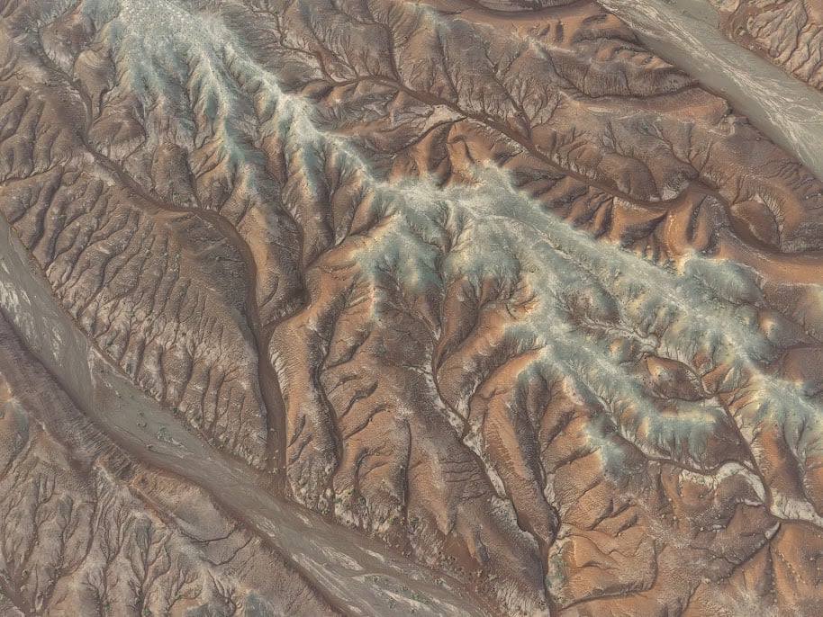 美麗到讓人不可置信的大地之樹。