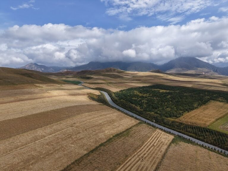 祁連山田野美景。