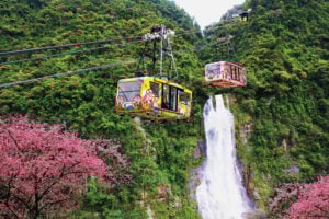 搭纜車眺望春意盎然(圖：雲仙樂園)