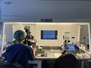 圖片來源：華育生殖醫學婦產科診所