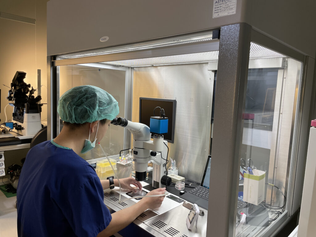 圖片來源：華育生殖醫學婦產科診所