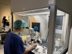 圖片來源:華育生殖醫學婦產科診所