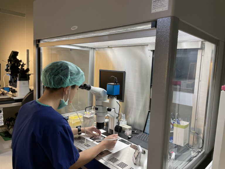 圖片來源:華育生殖醫學婦產科診所