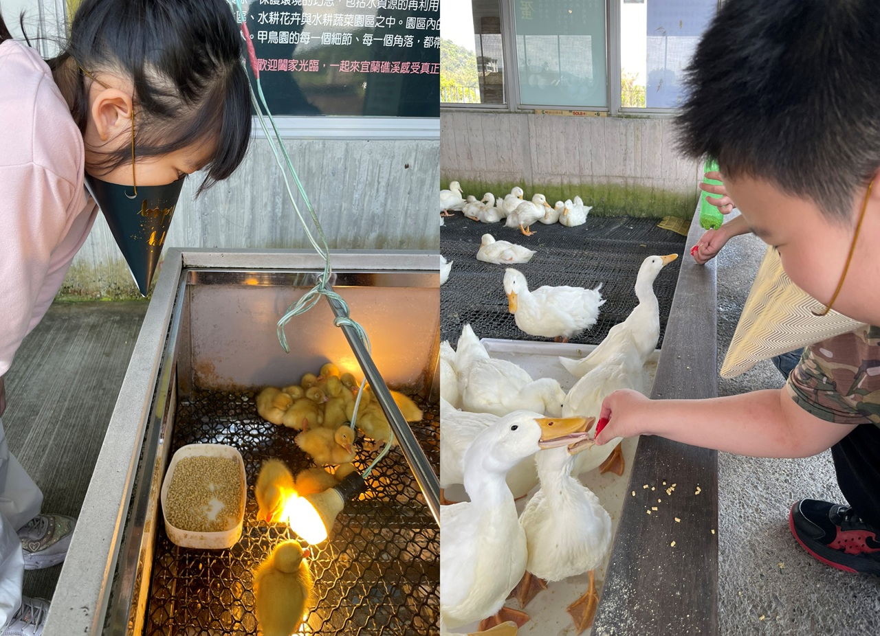 甲鳥園整體乾淨無異味,相當適合帶親子同遊(圖/李昭弘)