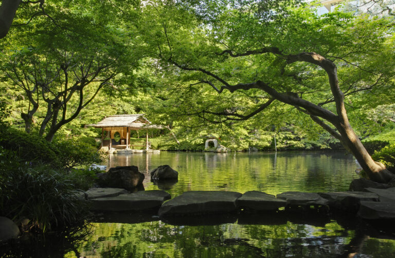 八芳園的設計哲學，精髓在於「梳理自然（自然を整える）」。春季綻放絢爛櫻花，夏季在深綠中送來清涼微風，秋季由紅葉與月光交織成詩，冬季則化為靜謐幽玄的雪景。這座庭園隨四季更迭，展現出截然不同的姿態。奠定現今庭園基礎的久原房之助先生曾自謙道：「我不敢妄言是在『造園』，我只是在『梳理自然』，活化大自然賦予的美好。」這份執著延續至今&mdash;未經許可，植木職人不可隨意修剪任何一根枝條。此一嚴謹的管理哲學，正是八芳園對守護大自然原生美感的極致熱情。（圖／八芳園）