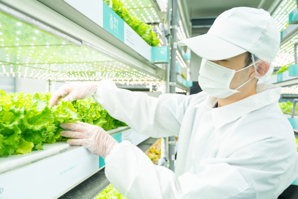 圖片來源：野菜鮮生