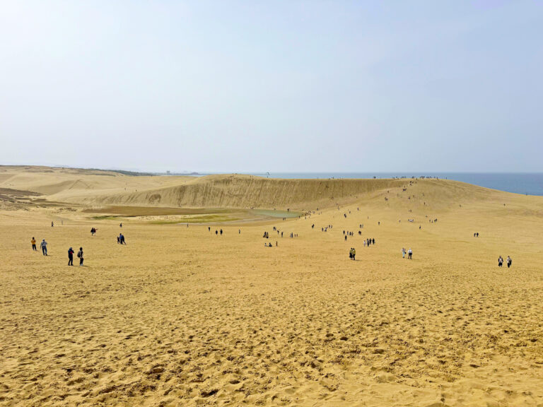 鳥取縣知名景點「鳥取砂丘」(圖/旅遊味)
