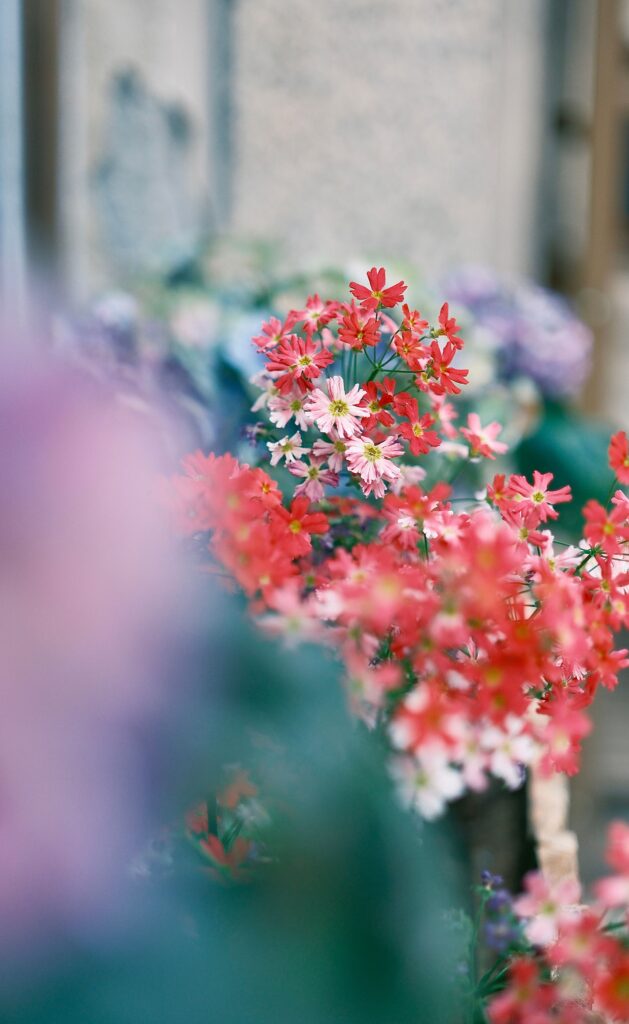 (圖/Pexels)