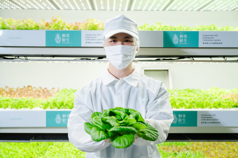圖片來源:野菜鮮生