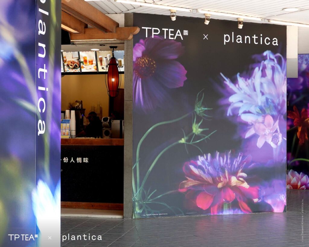 （圖／plantica）