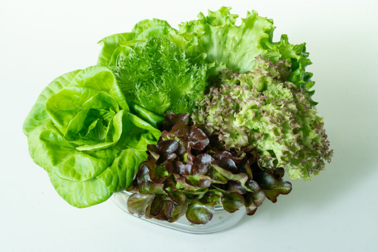 圖片來源:野菜鮮生