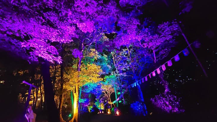 疫情期間打造的「七彩森林」夜間光雕造景，成為西湖渡假村住宿旅客晚間的新亮點。(圖/西湖渡假村)