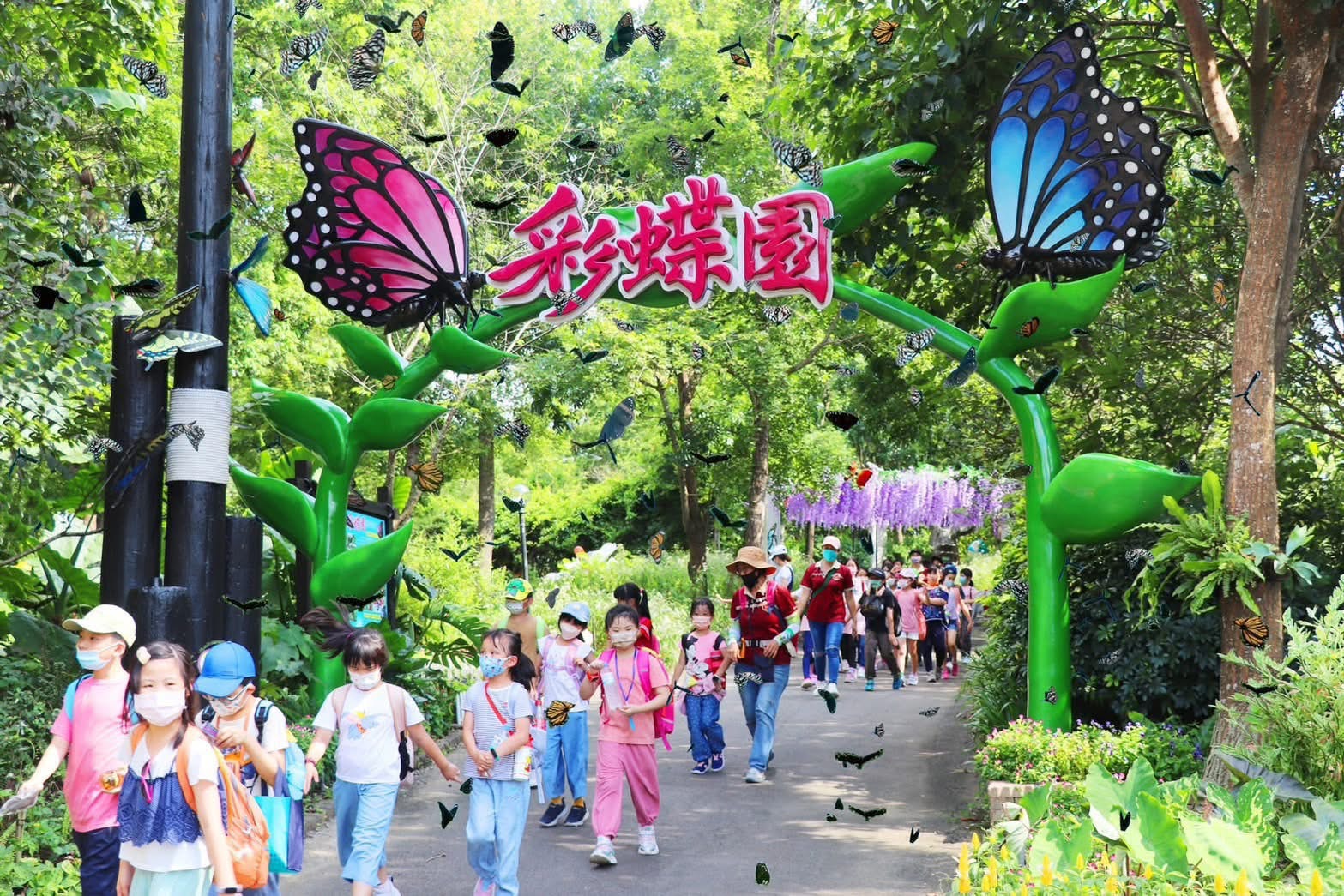 三義正是台灣紫斑蝶三大遷徙棲地之一，每年蝶季，蝴蝶在園區內翩翩飛舞，蔚為壯觀。(圖/西湖渡假村)