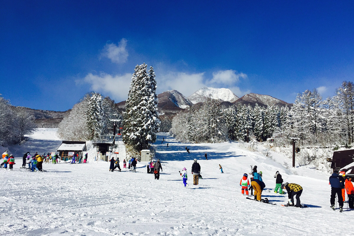 日本是台灣雪友最主要的海外滑雪目的地之一(圖/台灣滑雪協會)