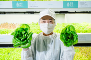 圖片來源:野菜鮮生