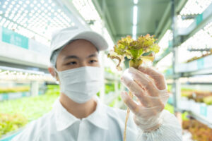 圖片來源：野菜鮮生
